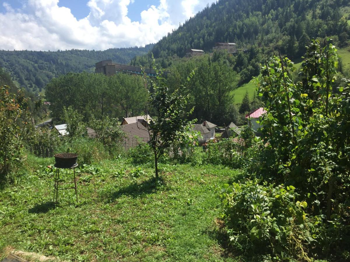 Acasa In Bicaz-Chei - Camere De Inchiriat Cheile Bicazului Eksteriør bilde